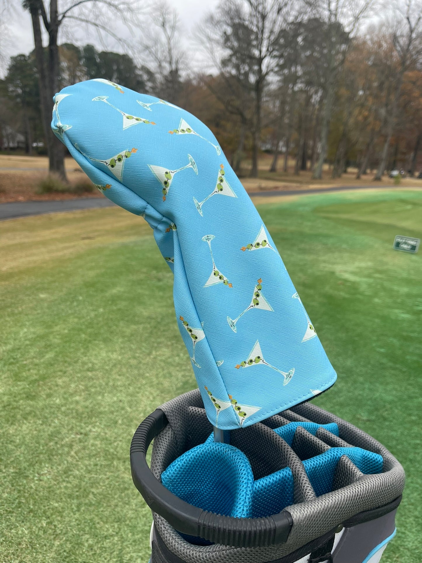 Class Driver & Wood Headcover