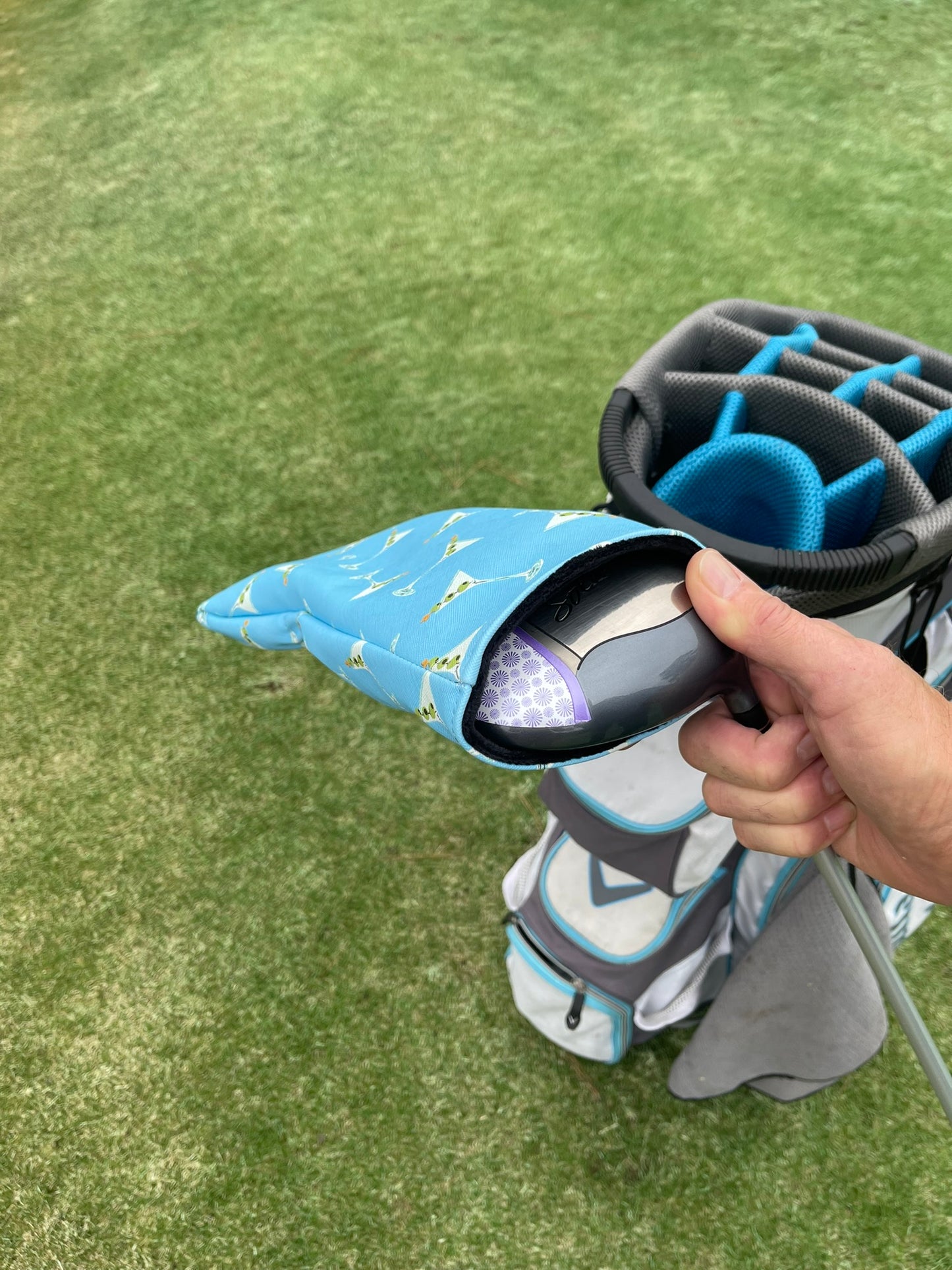 Class Driver & Wood Headcover